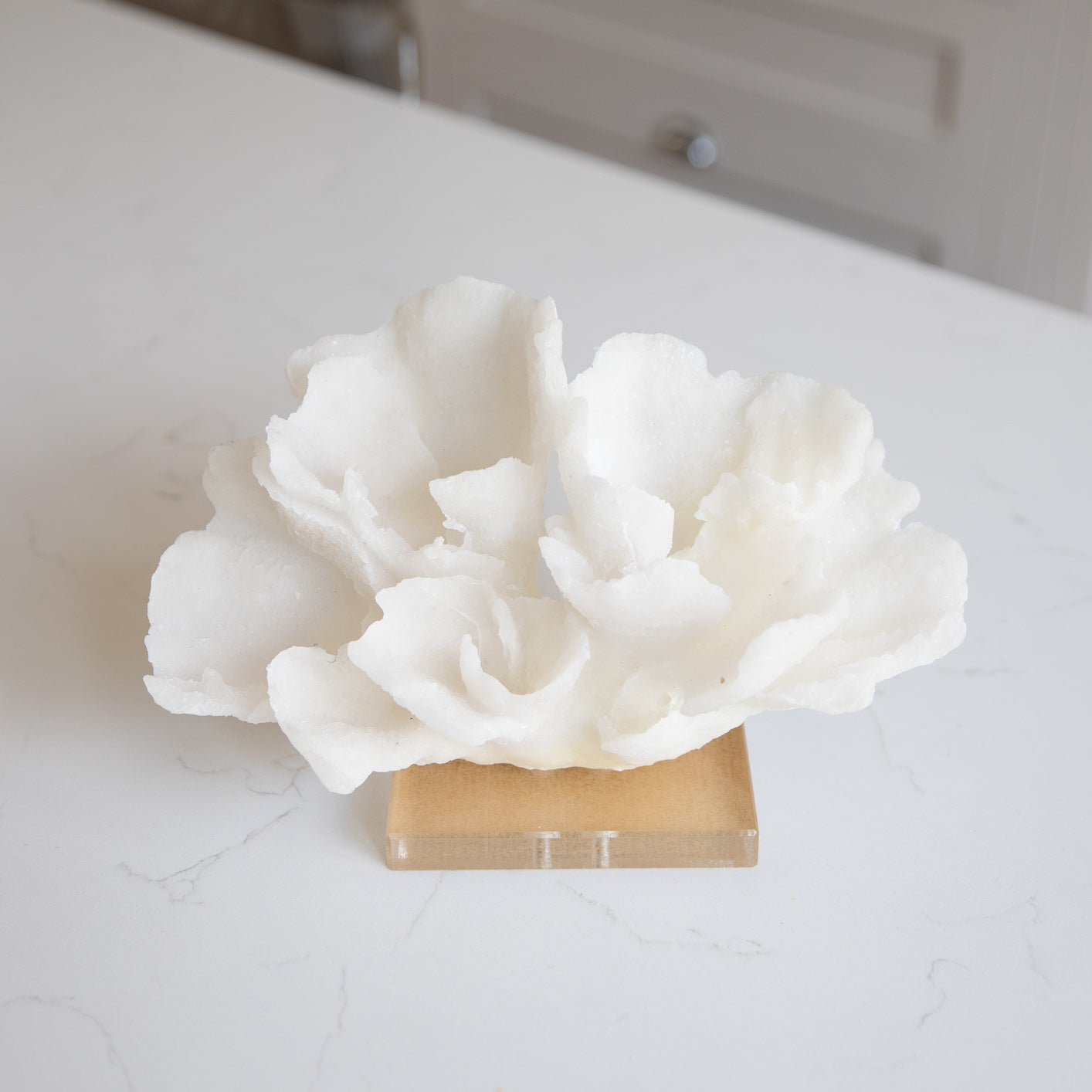Decorative Coral with resin base