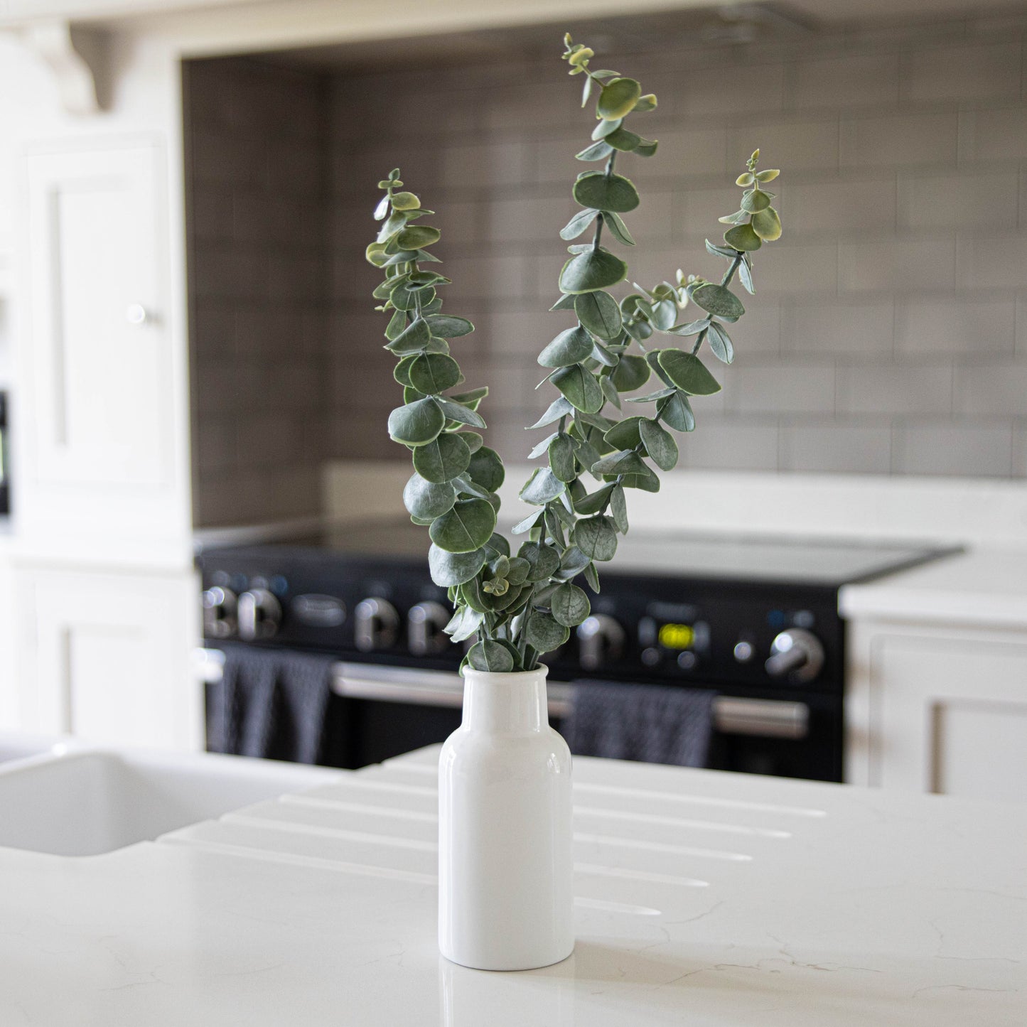 Eucalyptus Potted Stems