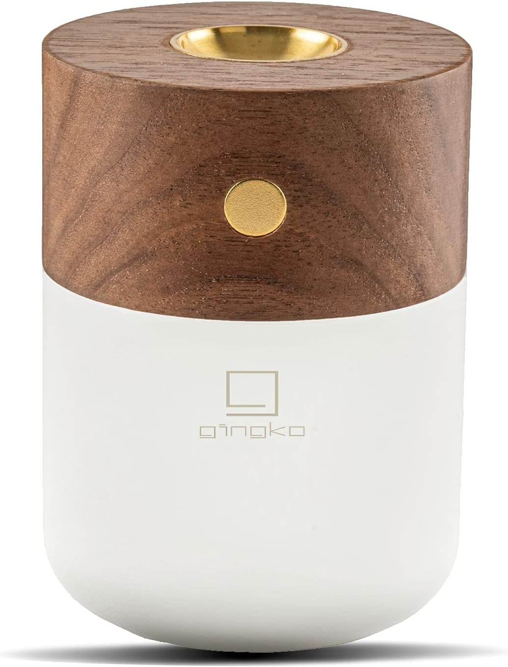Ginko Designs Essential Oil Burning Diffuser with LED Lamp