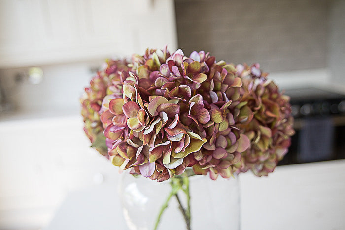 3 Purple Hydrangea Stems