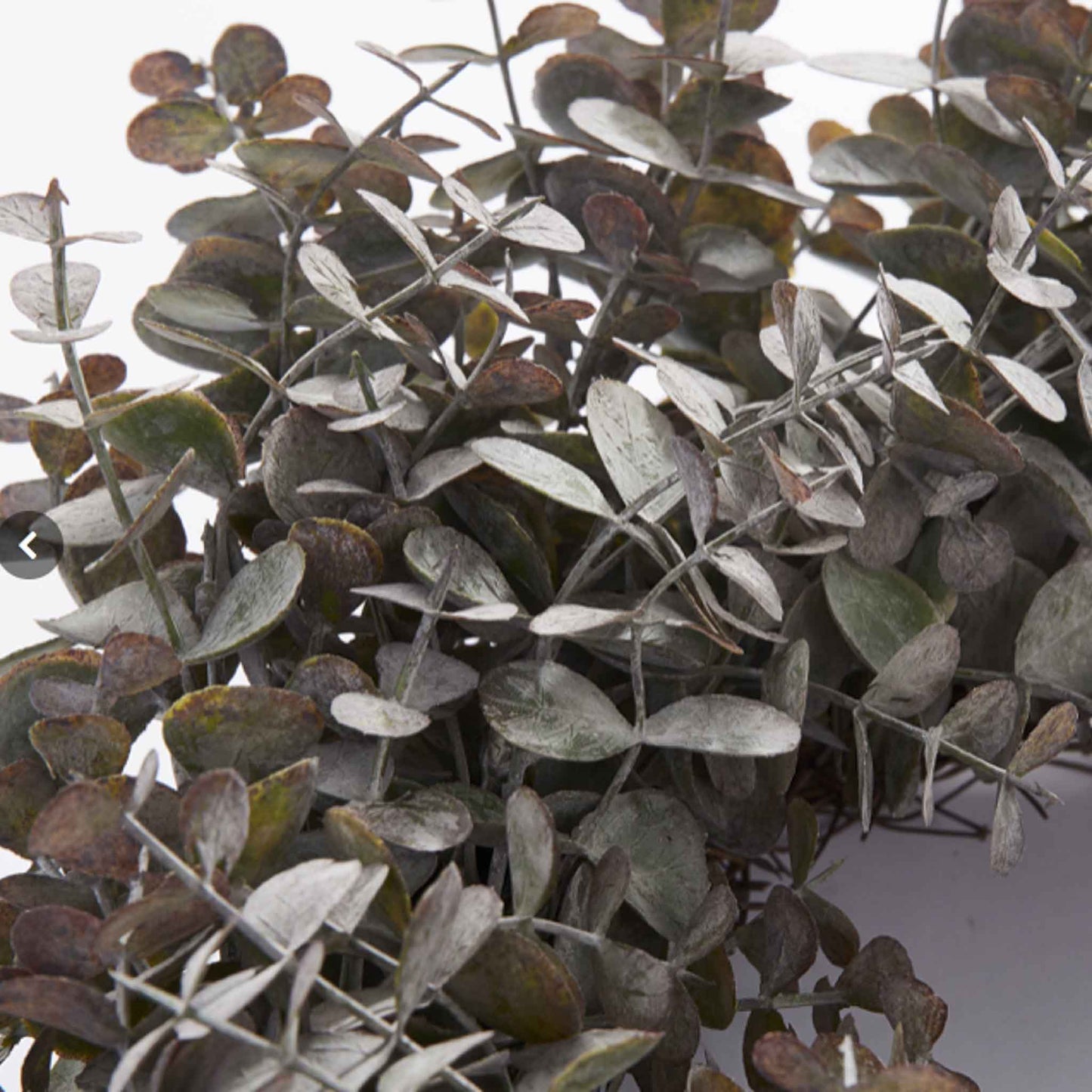 Small Eucalyptus Wreath 30cm