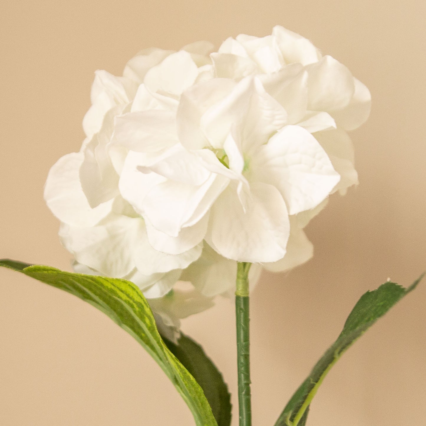 Faux White Hydrangea