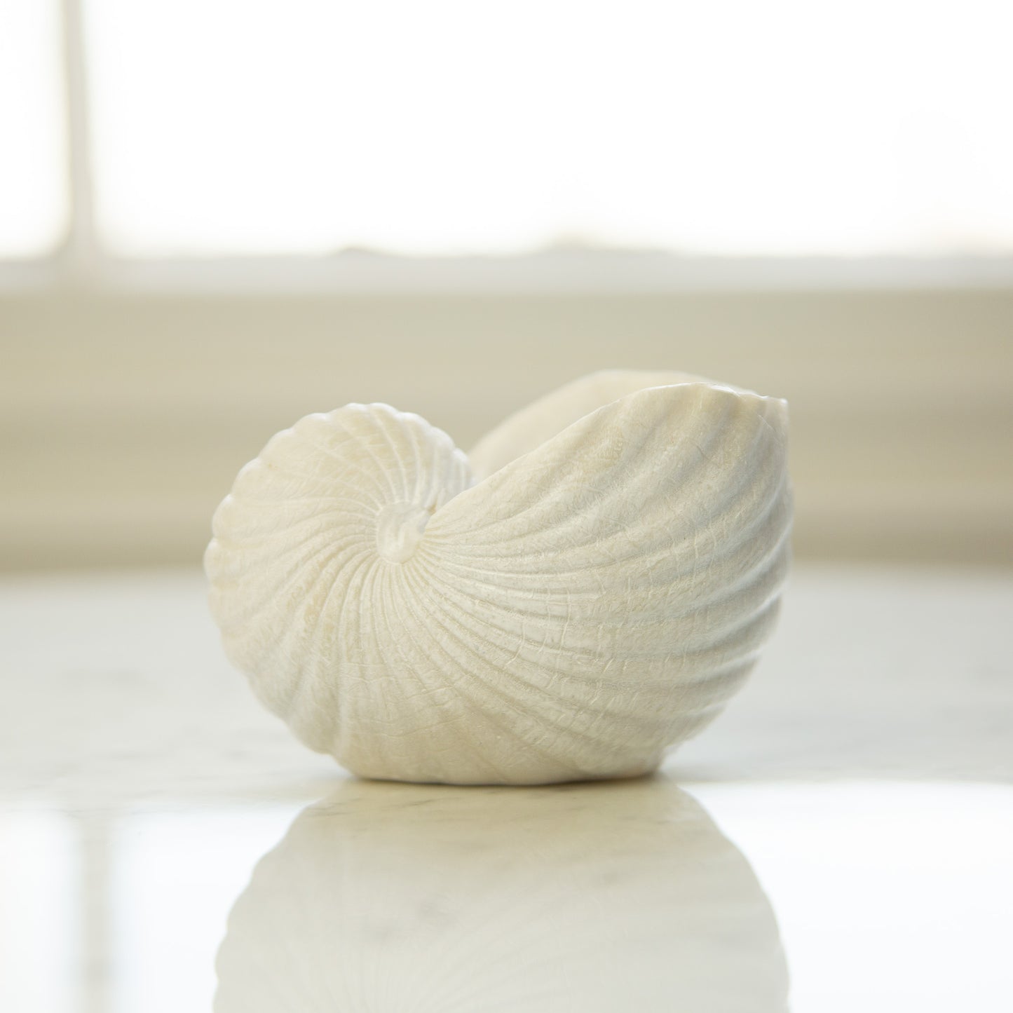 Small Shell Ornament 8cm