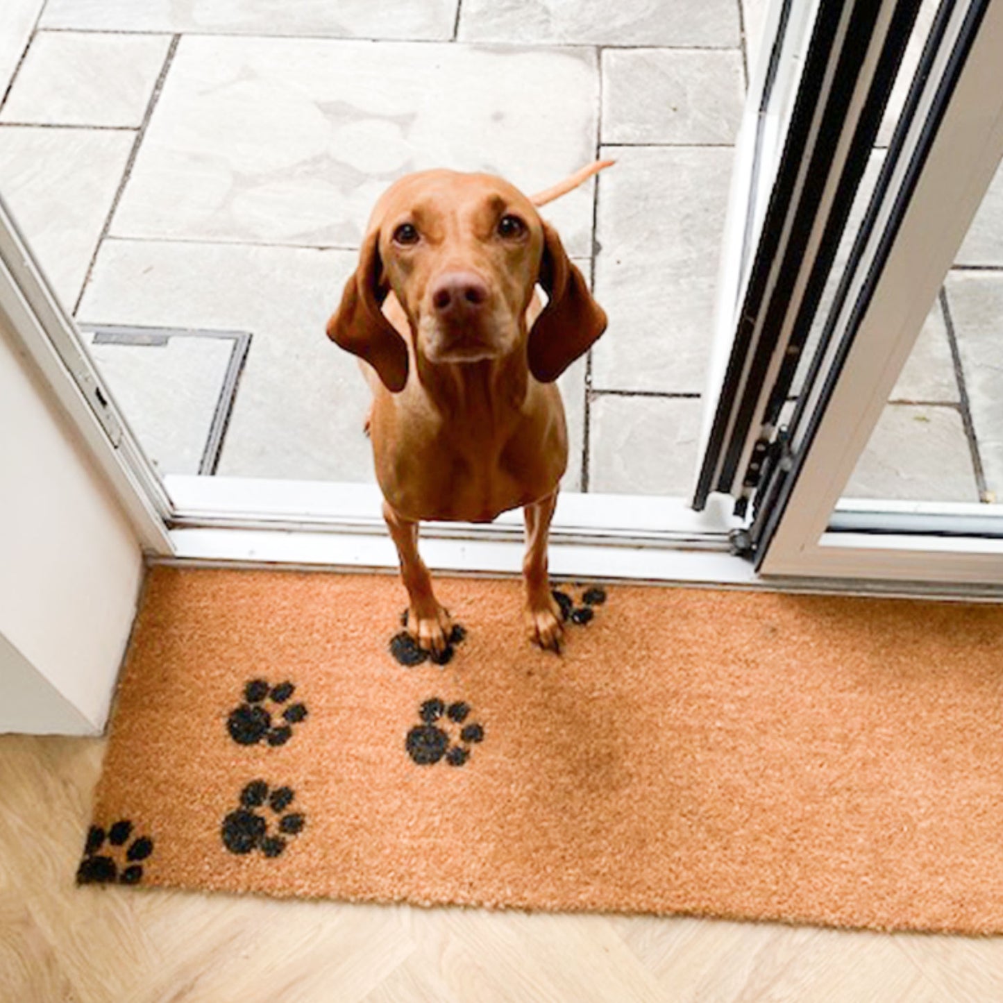 Paw Print Patio Doormat
