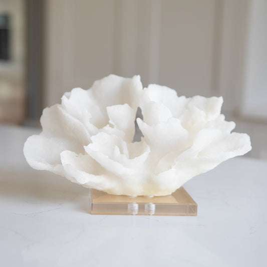 Decorative Coral with resin base