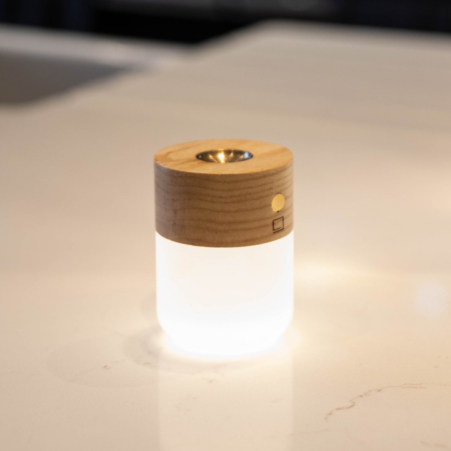 Ginko Designs Essential Oil Burning Diffuser with LED Lamp