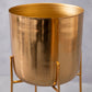 Fiona Golden Floor Planter