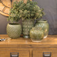 Daffodil-Round-Ceramic-Vase
