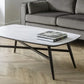 Lengai Rectangular Marble Coffee Table