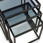Cullin Smoked Glass & Black Nesting Side Tables