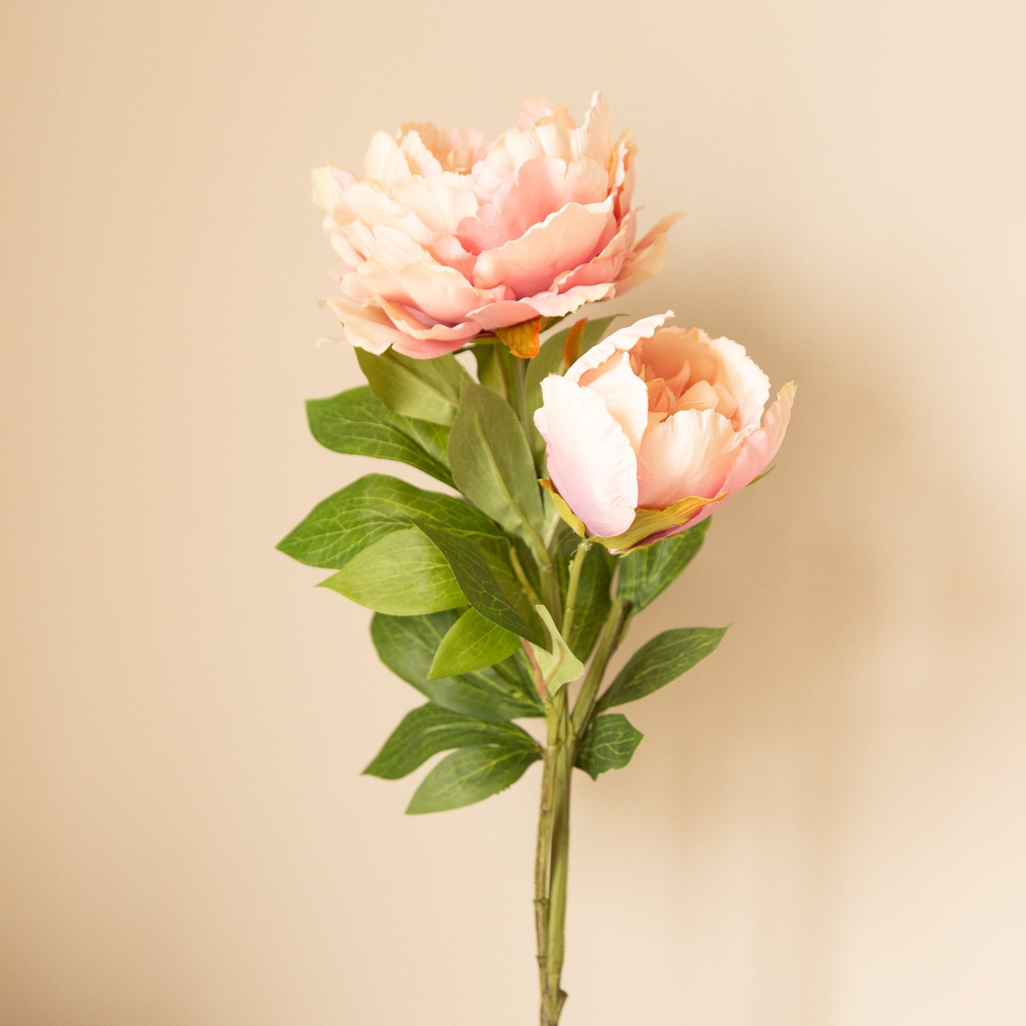 Faux Peony Stem