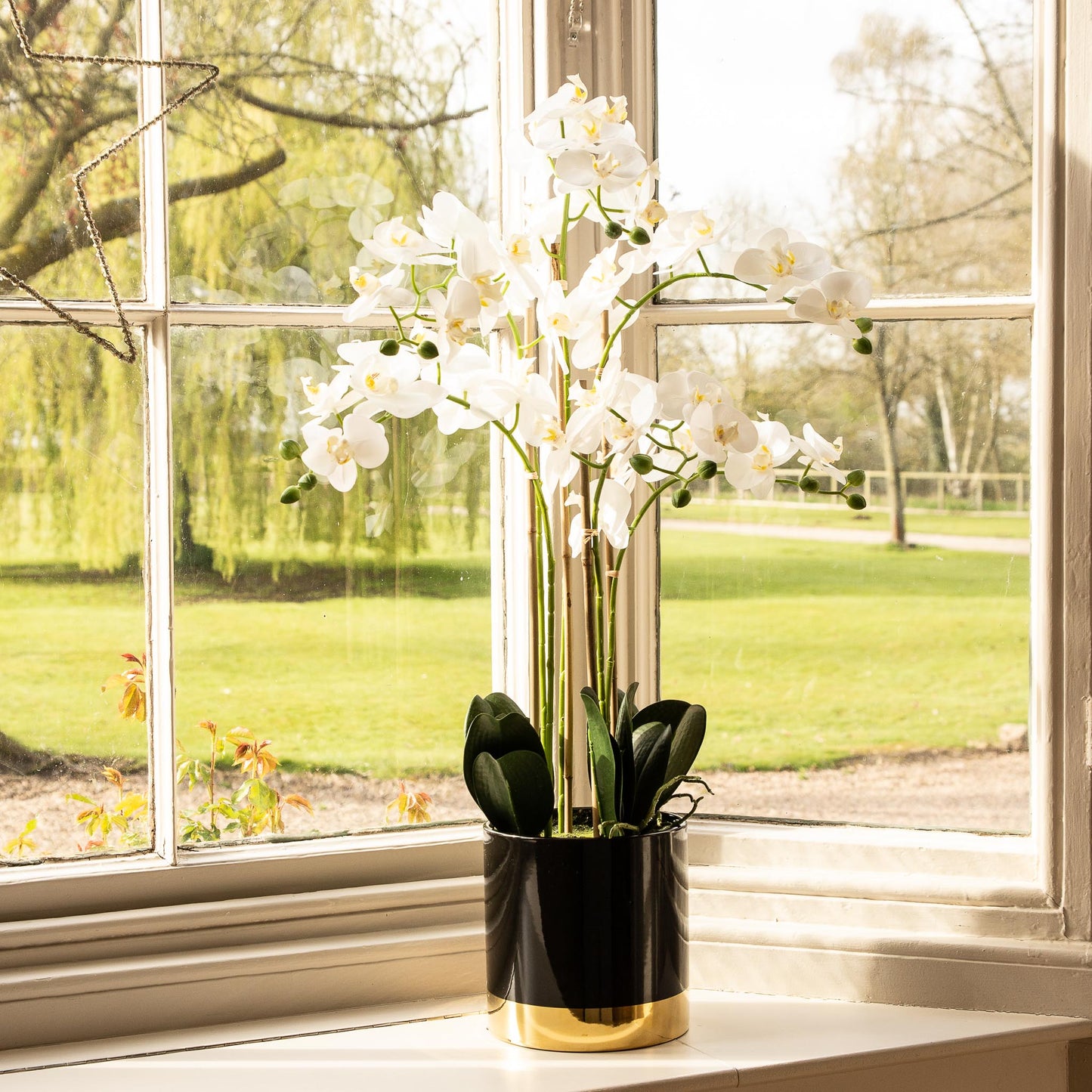 Orchid with black and gold pot 80cm