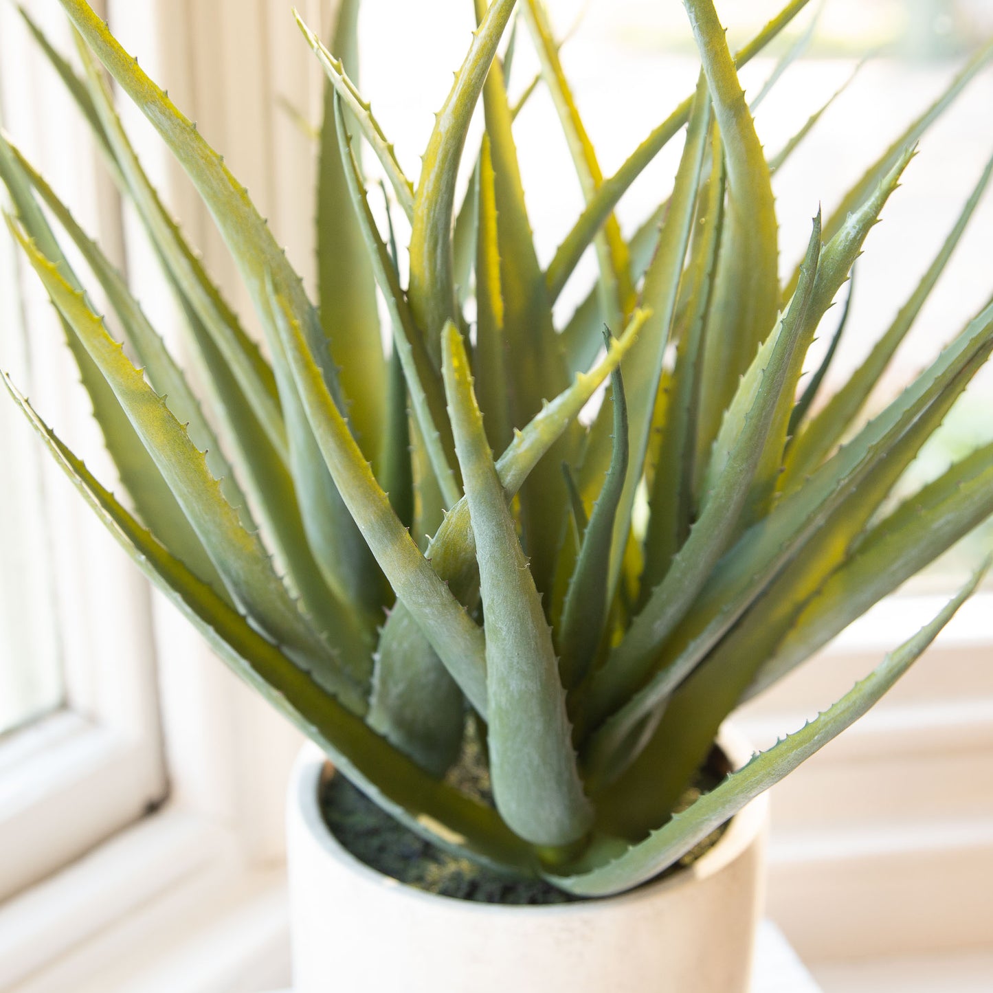 Faux Aloe 30cm