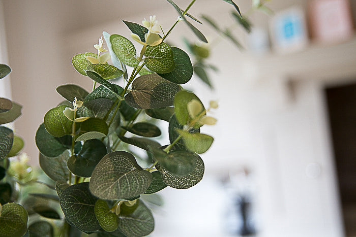 3 Faux Eucalyptus Stems
