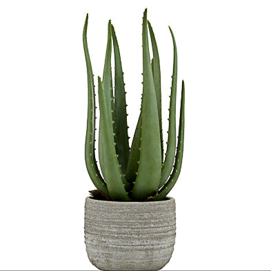 Faux aloe plant