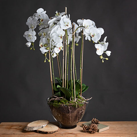 Luxury Faux Orchid in Glass Pot