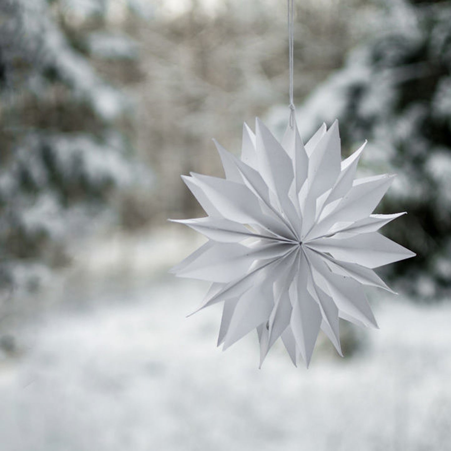 Paper Star 20cm