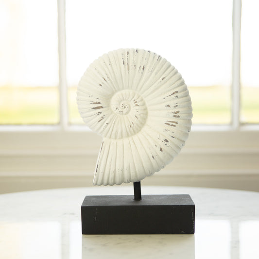 Shell Ornament 24cm