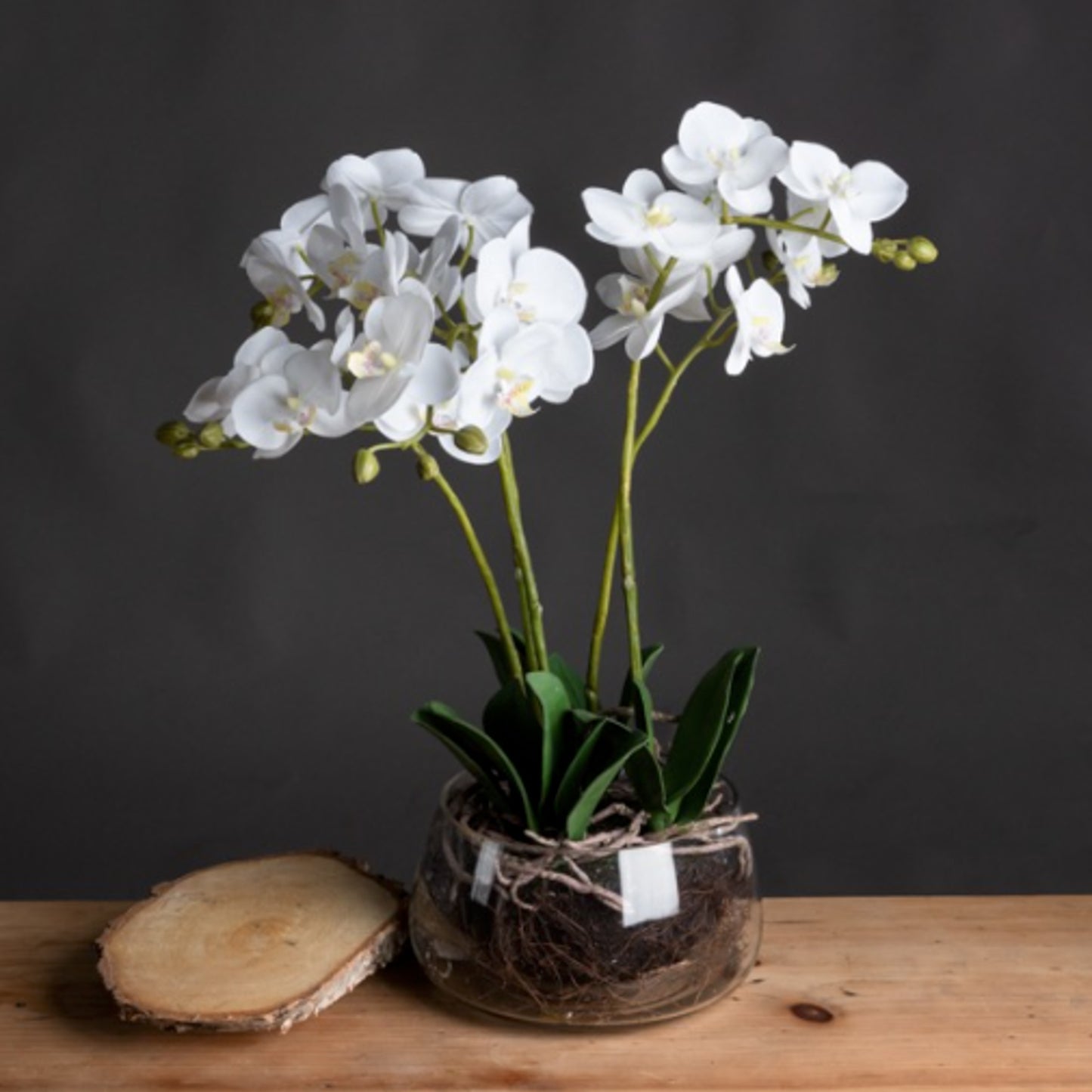 Luxury Medium White Orchid in Glass Pot 61cm